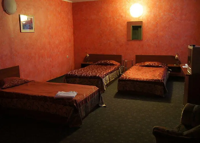 акорд София